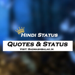 hindi status